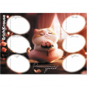 Расписание уроков А4 (ErichKrause) Прима-кошка арт.65307