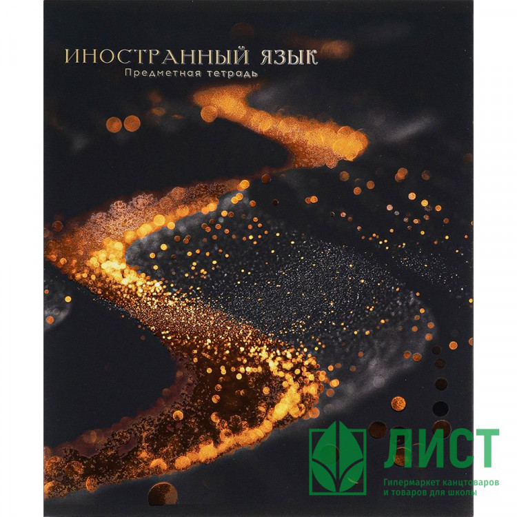 Тетрадь предметная 48 листов (Prof-Press) Black&Cold Иностранный язык холодная фольга софт-тач выборочный лак арт.48-2684
