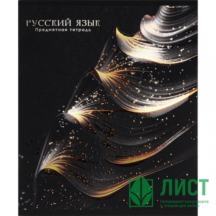 Тетрадь предметная 48 листов Prof-Press Черный и холодный (Black&Cold) Русский язык холодная фольга софт-тач выборочный лак арт.48-2717