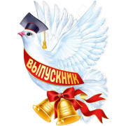 ВЫПУСКНОЙ Плакат "Голубь Выпускник" арт.22,174,00