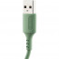 Кабель Defender  F207, USB 2.0 (AM) - Type C, 1метр, 2.4А, силиконовая оплетка, зелёный - 