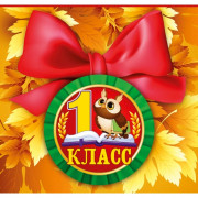 1 СЕНТЯБРЯ Значок "Сова" с бантом арт.15.15.00710