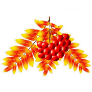 Плакат "Рябина осенняя" 20*13см 1шт. арт.9951907