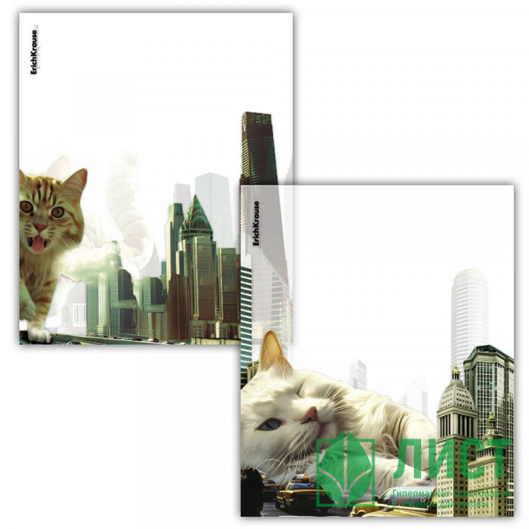Набор обложек для тетради 212х347 полипропилен 80мкм 12 штук набор Коты большого города ErichKrause арт 63508