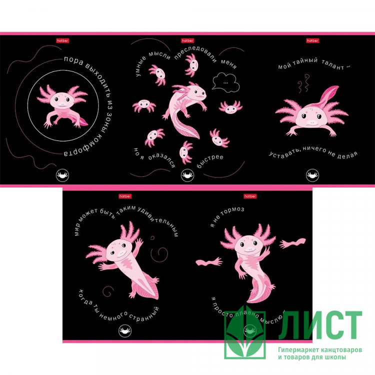 Тетрадь А5 клетка 48 листов скоба Hatber Малыш-аксолотль выборочный лак ассорти арт 48Т5вмВ1