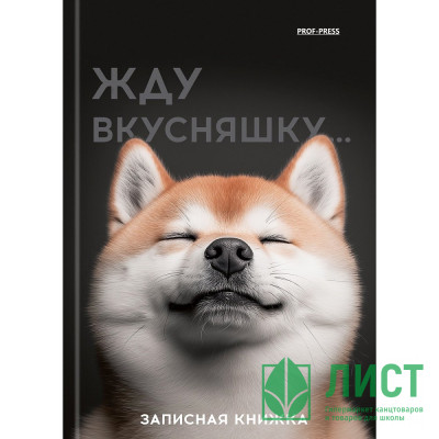 Записная книжка А6 твердая обложка 48 листов (Prof-Press) Милый забавный пес глянцевая ламинация лен арт.48-7096 Записная книжка А6 твердая обложка 48 листов (Prof-Press) Милый забавный пес глянцевая ламинация лен арт.48-7096