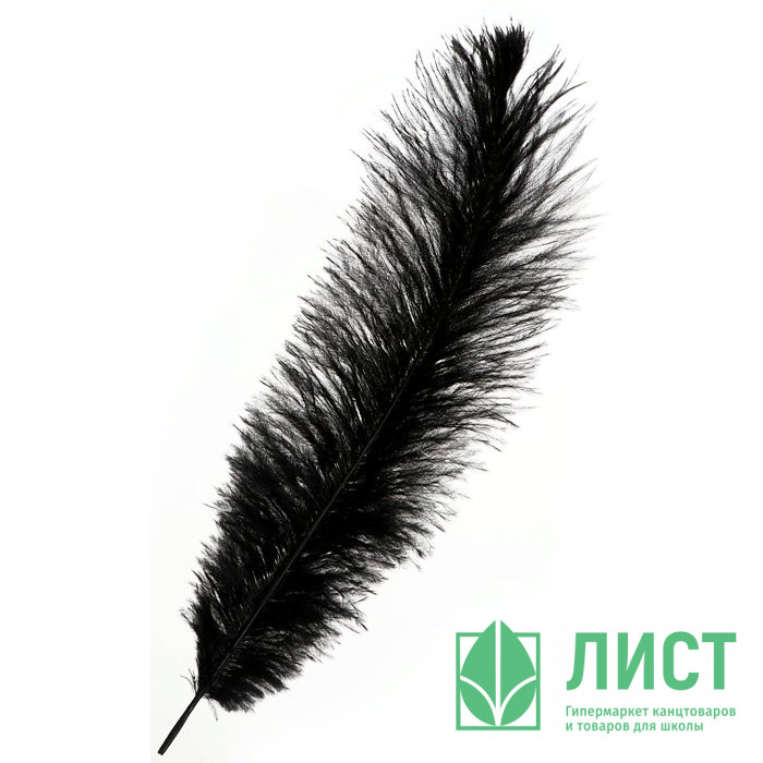 Перо для декора 30-35см черный арт.6900056