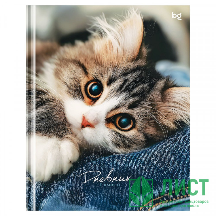 Дневник школьный твердая обложка BG Мур матовая ламинация арт.Д5т48_лм 62215