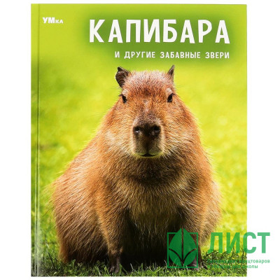Энциклопедия с заданиями А4 Капибара и другие забавные звери (Умка) арт.978-5-506-09105-9 Энциклопедия с заданиями А4 Капибара и другие забавные звери (Умка) арт.978-5-506-09105-9