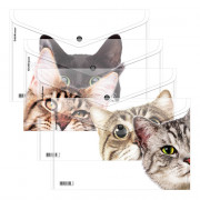 Папка-конверт на кнопке А4 (ErichKrause) 160мкм Hiding Cats ассорти арт.61155