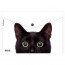 Папка-конверт на кнопке А4 (ErichKrause) 160мкм Hiding Cats ассорти арт.61155 - 