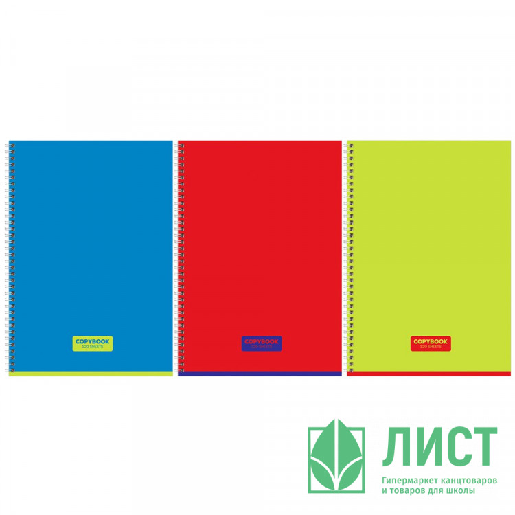 Тетрадь А4 клетка 120 листов на гребне BG Тетрадь глянцевая ламинация ассорти арт.Т4гр120_лг 12477