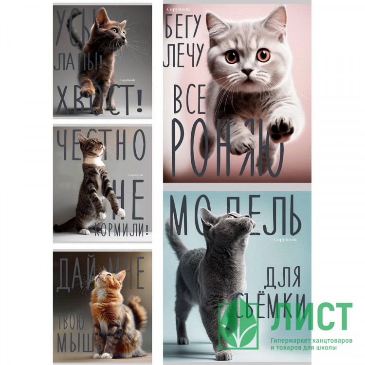 Тетрадь А5 клетка 96 листов скоба (Prof-Press) Котики и надписи цветная мелованная обложка лен ассорти арт.96-8847